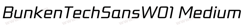 BunkenTechSansW01 MediumIt字体转换 BunkenTechSansW01 MediumIt字体转换